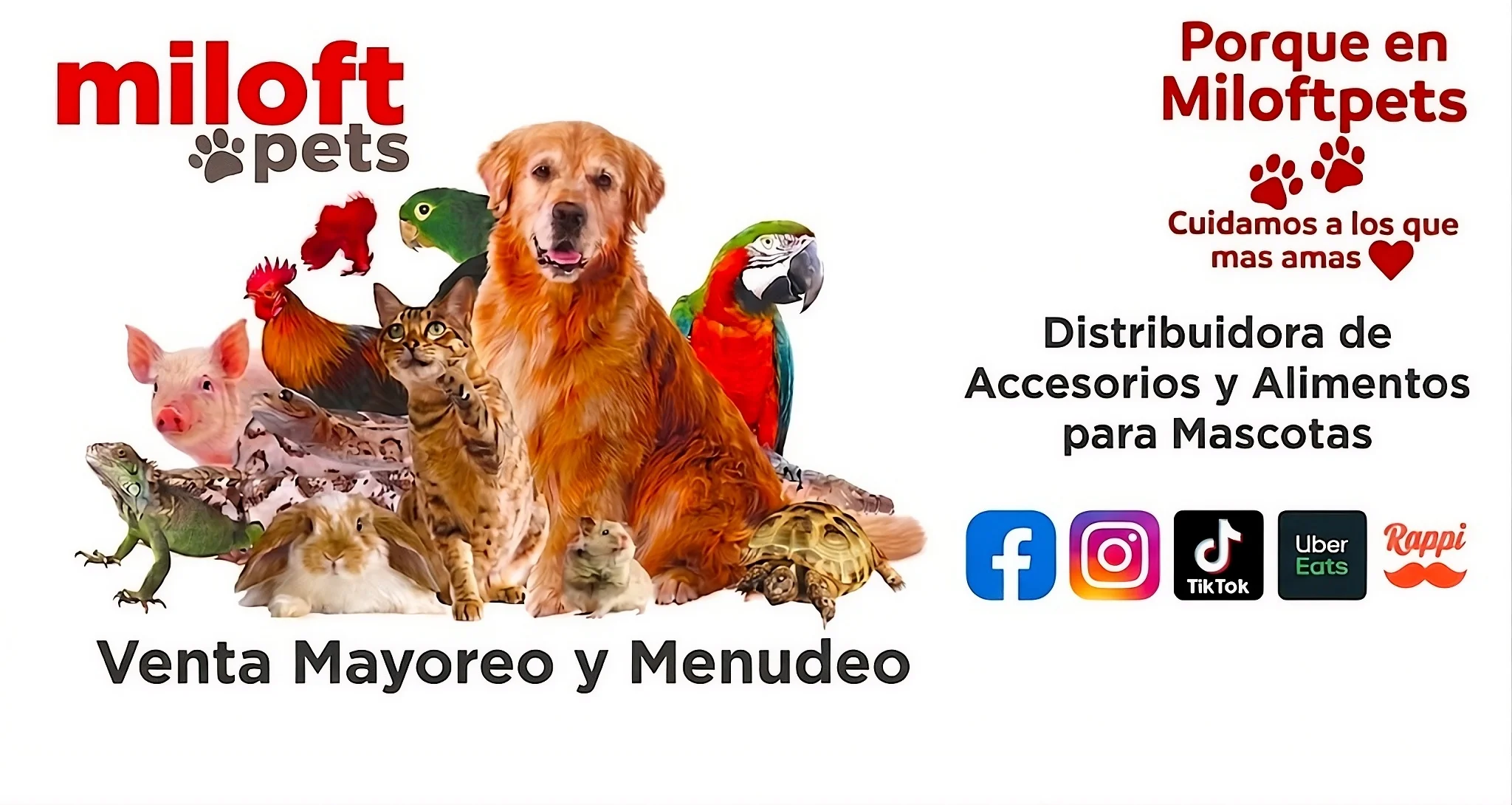 Info Miloft Pets